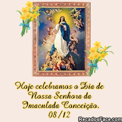 0812 Dia De Nossa Senhora Da Imaculada Conceição 10485