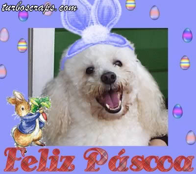 Feliz Páscoa pascoa