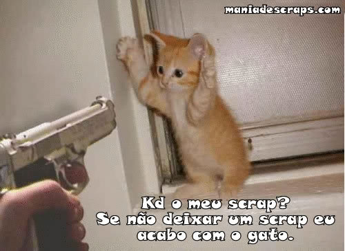 Kd meu recado?